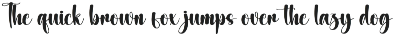 Boat Banana | Script Font preview