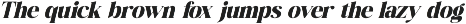Mango Jungle Modern Bold Serif preview