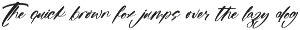 Raituly Chant Modern Handwritten preview