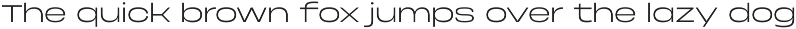 Phonk Sans — extended sans serif preview