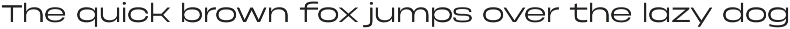 Phonk Sans — extended sans serif preview