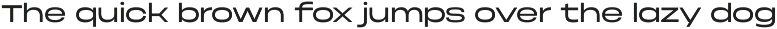 Phonk Sans — extended sans serif preview