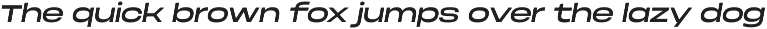 Phonk Sans — extended sans serif preview