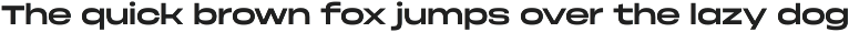Phonk Sans — extended sans serif preview