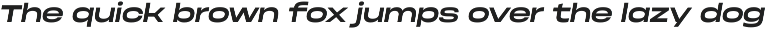 Phonk Sans — extended sans serif preview