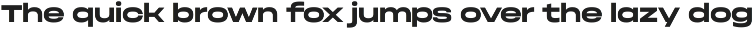 Phonk Sans — extended sans serif preview