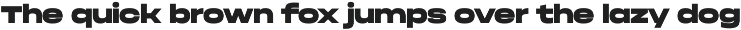 Phonk Sans — extended sans serif preview