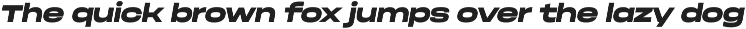 Phonk Sans — extended sans serif preview