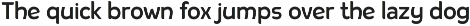 Negova Curved Display Sans preview