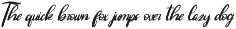 Myrellis Script - Bold Script preview