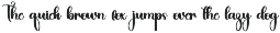 Chasing Party preview
