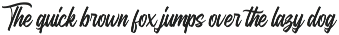 Anguine - Stylish Typeface preview