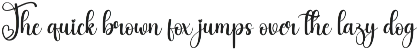 Beautiful Beach | Script Font preview