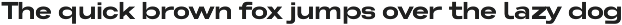 Somerun Extended Sans Family preview