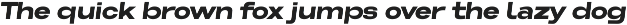 Somerun Extended Sans Family preview