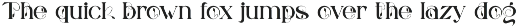 Bons Serif Typeface preview