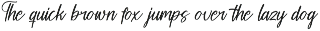 Nostalgic Frames Handwritten Script preview