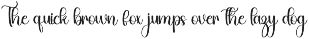 Brighting Signature preview