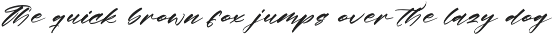 Floating Journey Stylish Handwritten preview