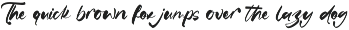 Satiate Ration Bold Brush Font preview