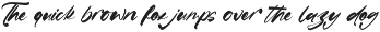 Satiate Ration Bold Brush Font preview