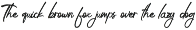 Riqage Tamy - Brush Script Font preview