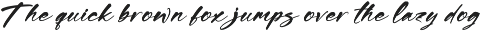 Shadow Brawlers preview