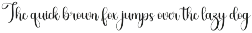 Signature preview