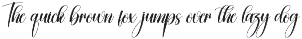 Branding | Script Font preview