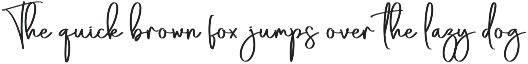 Breakfast | Script Font preview