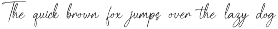 Palisade | Handwritten preview