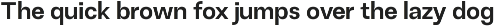 Terasans - Versatility Sans Serif preview