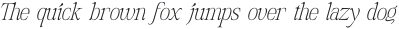 DT Hebrinks Thin Italic otf (100)