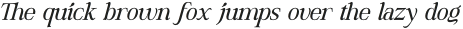 DT Hebrinks Medium Italic otf (500)