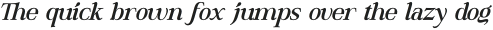 DT Hebrinks Bold Italic otf (700)