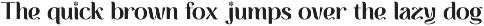 CARNELIAN - Display Variable Type preview