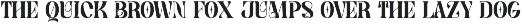 Celona Cameli || Modern Serif Font preview