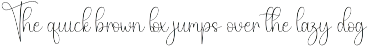 Thomas Signature | Script Font preview