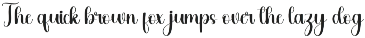 Blink preview