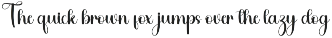 Mobile preview