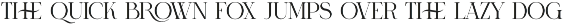 RONICA Modern Display Serif preview