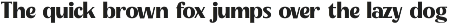 Agorey Dalling Groovy Retro Serif preview