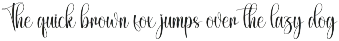 Believe | Script Font preview