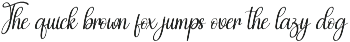 Saturday Safety | Script Font preview
