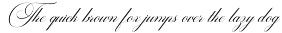 Castering Calligraphy Pro preview