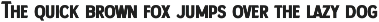 Palmera - Vintage Font preview