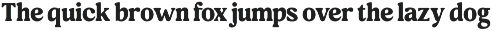 Meaty Nineties - Modern Retro preview