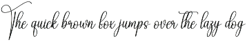 Angel Beach | Script Font preview