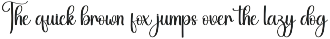 Bighome | Script Font preview