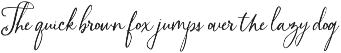 Branch & Bramble Calligraphy Font preview